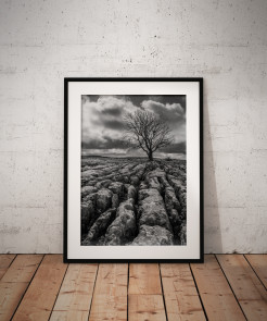 To buy a print or any of the below please click on the images